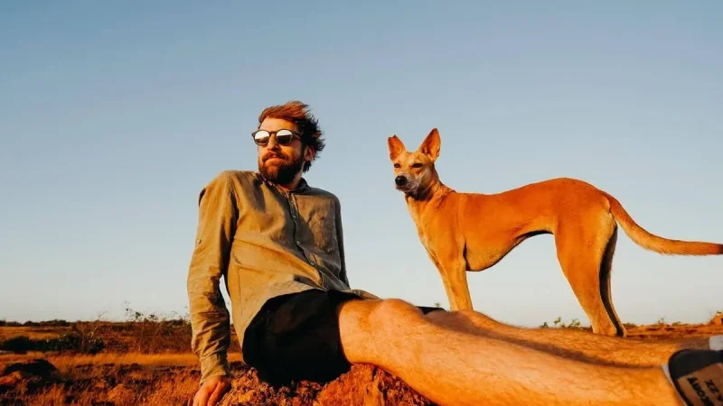 resa med hund i europa