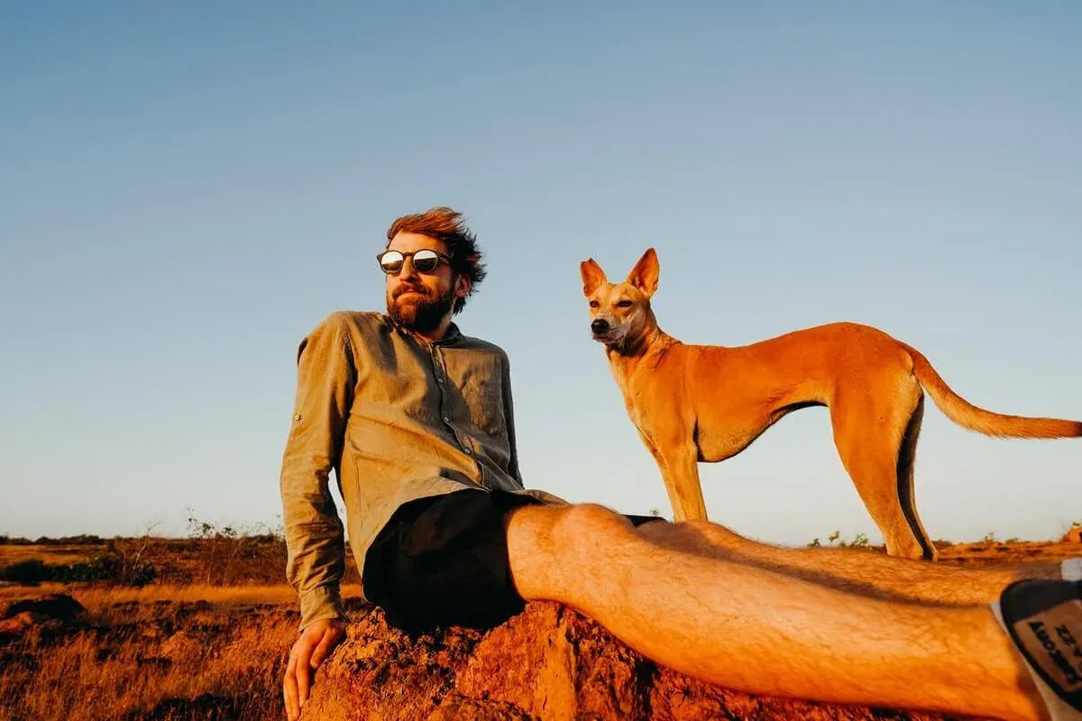 resa med hund i europa